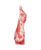 Mezzena Fassona Piemontese - bovino carne fresca - femmina 130-140Kg - Macelleria GranCollina